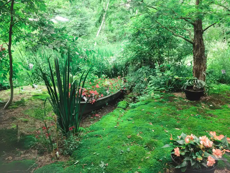 Jardin dense et fleuri : couvre-sols, vivaces et arbustes en pleine croissance